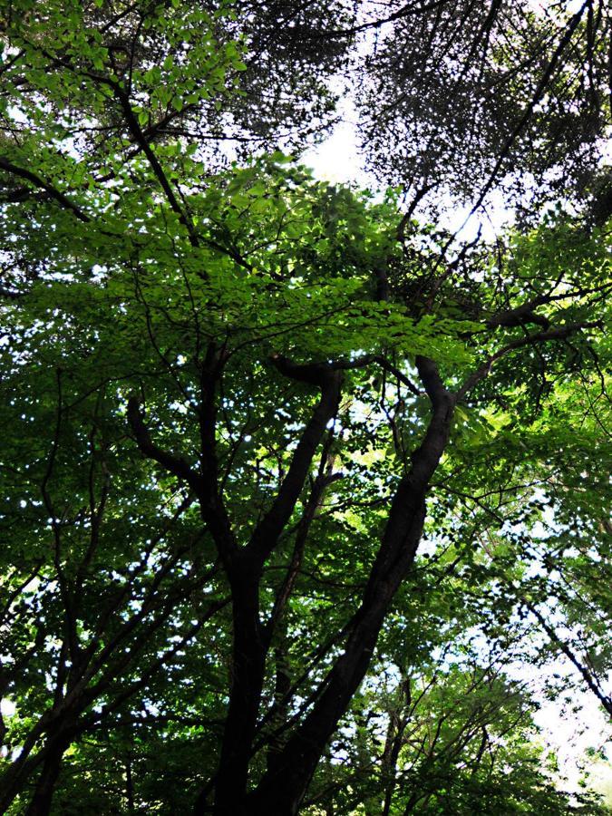 大人スイート 那須高原 結 Cottage Nasu Bagian luar foto